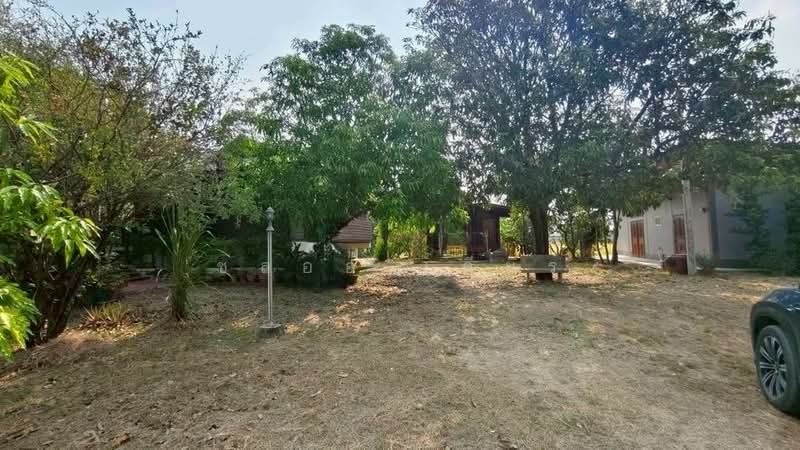 ทุ่งคอก, สุพรรณบุรี, ทุ่งคอก, สองพี่น้อง, สุพรรณบุรี, 12,800 ตร.ม., ที่ดิน ขาย, โดย ชลออ เดียร์, 500335021 - DDproperty.com