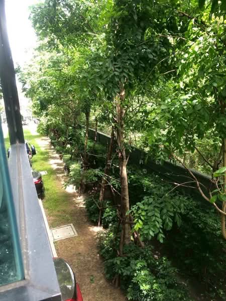 Atmoz Chaengwattana, Nonthaburi, Prachachuen Road, Khlong Klue, Pak Kret, Nonthaburi, 2 Bedrooms, 35 sqm, Condo For Rent, by ปล่อยเช่าคอนโด แอทโมซ แจ้งวัฒนะ 34.88 ตร.ม 2 นอน ชั้น 2, 500335337 - DDproperty.com