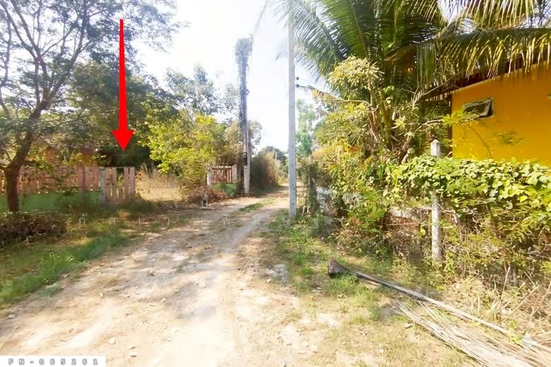 Land for sale in Chom Bueng, Ratchaburi, 3 rai 25 sq.w. FN-065261, Ratchaburi, Rang Bua, Chom Bung, Ratchaburi, , 4,900 sqm, Land For Sale, by Benchawarin Pakkawetppisit, 500335347 - DDproperty.com