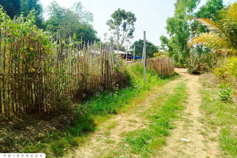 Land for sale in Chom Bueng, Ratchaburi, 3 rai 25 sq.w. FN-065261, Ratchaburi, Rang Bua, Chom Bung, Ratchaburi, , 4,900 sqm, Land For Sale, by Benchawarin Pakkawetppisit, 500335347 - DDproperty.com