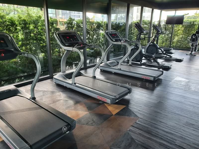 The Room Sukhumvit 38, Bangkok, Soi Sukhumvit 38, Phra Kanong, Khlong Toei, Bangkok, 1 Bedroom, 53 sqm, Condo For Sale, by Natta Buromsee, 500335419 - DDproperty.com