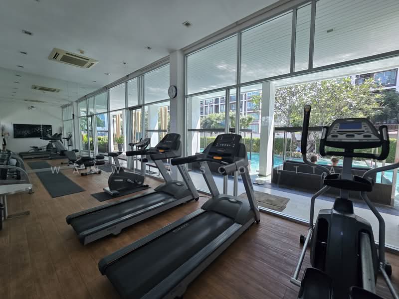 Baan Koo Kiang Hua Hin, Prachuap Khiri Khan, Petchkasem, Hua Hin, Prachuap Khiri Khan, 1 Bedroom, 30 sqm, Condo For Rent, by Wanwisa Scopetta, 500335434 - DDproperty.com