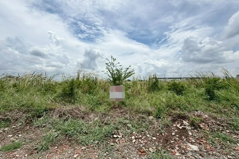ถนนฉลองกรุง ซอยฉลองกรุง 9, Bangkok, ถนนฉลองกรุง, Lam Pla Tiew, Lat Krabang, Bangkok, , 420 sqm, Land For Sale, by คุณบี, 500335456 - DDproperty.com