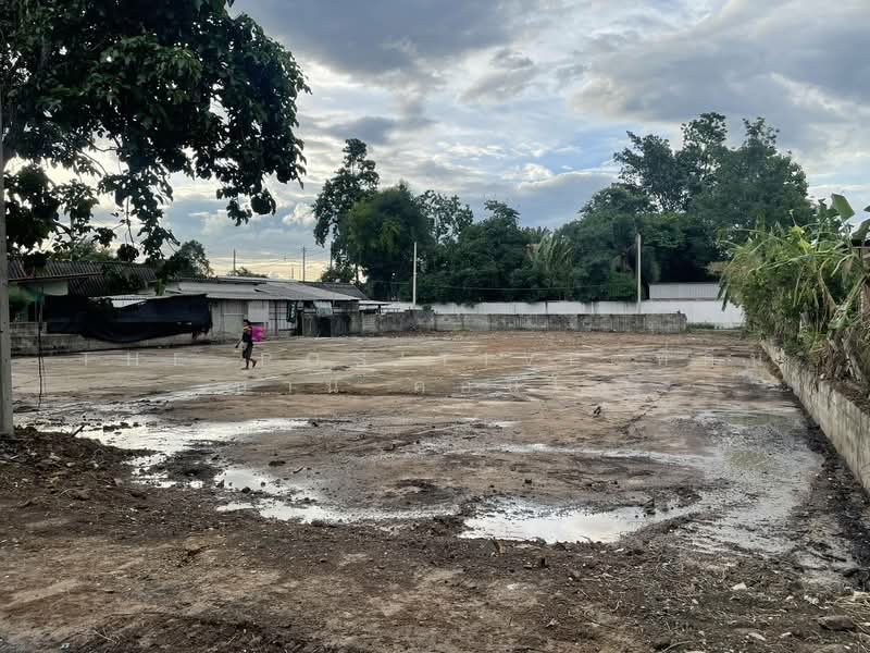 Land 405 sq.wah (Fa Ham – San Phi Suea Area), Chiang Mai, San Phi Sua, Muang Chiang Mai, Chiang Mai, , 1,620 sqm, Land For Sale, by The Positive ที่ดิน บ้าน คอนโด, 500335502 - DDproperty.com