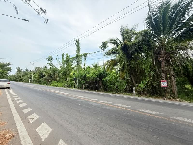 ที่ดินอัมพวา สมุทรสงคราม, Samut Songkhram, Suanluang, Amphawa, Samut Songkhram, , 1,376 sqm, Land For Sale, by The Best Property Agent ดาด้า, 500335726 - DDproperty.com