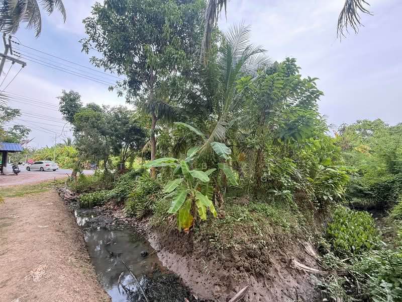 ที่ดินอัมพวา สมุทรสงคราม, Samut Songkhram, Suanluang, Amphawa, Samut Songkhram, , 1,376 sqm, Land For Sale, by The Best Property Agent ดาด้า, 500335726 - DDproperty.com