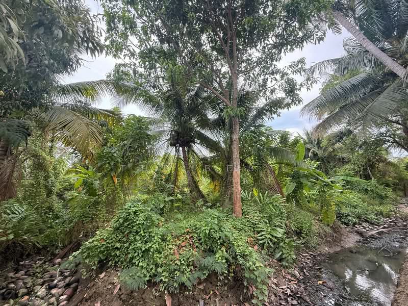 ที่ดินอัมพวา สมุทรสงคราม, Samut Songkhram, Suanluang, Amphawa, Samut Songkhram, , 1,376 sqm, Land For Sale, by The Best Property Agent ดาด้า, 500335726 - DDproperty.com