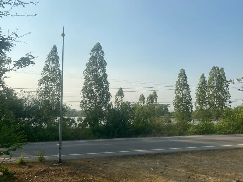 ที่ดินชนบท ขอนแก่น, Khon Kaen, Chonnabot, Chonnabot, Khon Kaen, , 11,636 sqm, Land For Sale, by The Best Property ต้นอ้อ, 500335727 - DDproperty.com