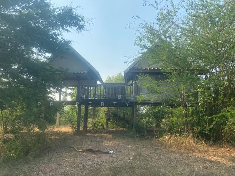 ที่ดินชนบท ขอนแก่น, ขอนแก่น, ชนบท, ชนบท, ขอนแก่น, 11,636 ตร.ม., ที่ดิน ขาย, โดย The Best Property ต้นอ้อ, 500335727 - DDproperty.com