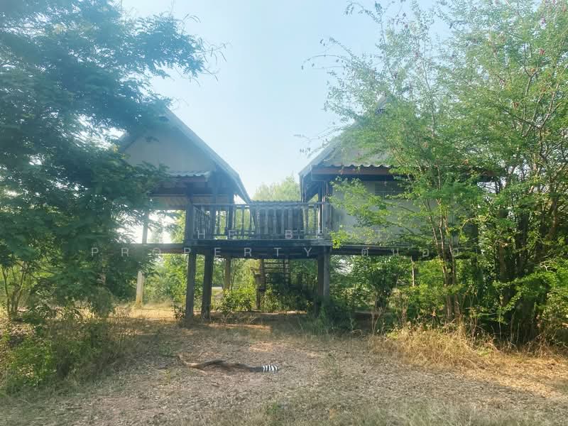 ที่ดินชนบท ขอนแก่น, ขอนแก่น, ชนบท, ชนบท, ขอนแก่น, 11,636 ตร.ม., ที่ดิน ขาย, โดย The Best Property ต้นอ้อ, 500335727 - DDproperty.com
