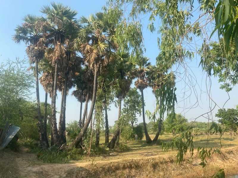 ที่ดินชนบท ขอนแก่น, Khon Kaen, Chonnabot, Chonnabot, Khon Kaen, , 11,636 sqm, Land For Sale, by The Best Property ต้นอ้อ, 500335727 - DDproperty.com