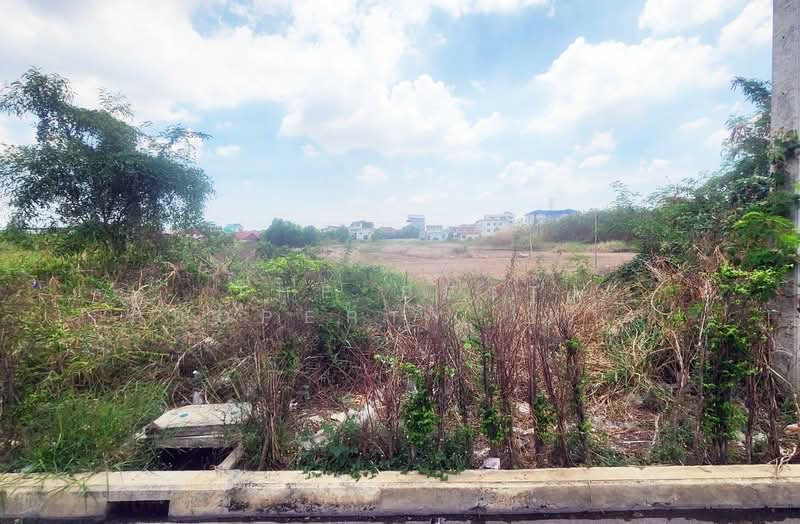 ที่ดินธัญบุรี ปทุมธานี, Pathum Thani, Bang Yitho, Thanyaburi, Pathum Thani, , 9,988 sqm, Land For Sale, by The Best Property โหน่ง, 500335821 - DDproperty.com