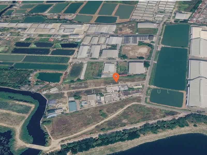 ขายที่ดิน1 ไร่ แถวบ่อช้าง คลองอาเสี่ย ต. บางพลีใหญ่ อ. บางพลี จ. สมุทรปราการ, สมุทรปราการ, บางพลีใหญ่, บางพลี, สมุทรปราการ, 1,600 ตร.ม., ที่ดิน ขาย, โดย Chanettee Chongphichetkul, 500336083 - DDproperty.com