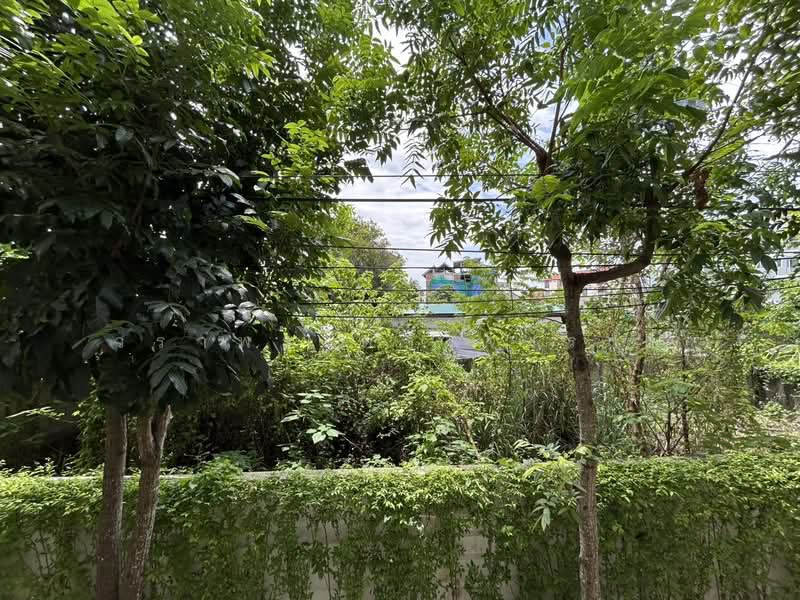Dcondo Campus Resort Chiang Mai, Chiang Mai, Suthep, Su Thep, Muang Chiang Mai, Chiang Mai, Studio, 30 sqm, Condo For Sale, by วราพร ตางจงราช, 500336101 - DDproperty.com