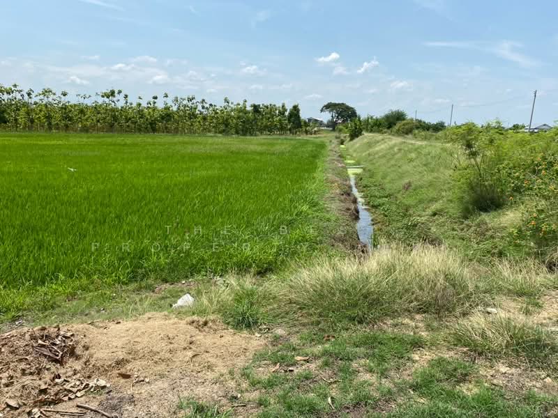 ที่ดินกำแพงแสน นครปฐม, นครปฐม, กระตีบ, กำแพงแสน, นครปฐม, 5,120 ตร.ม., ที่ดิน ขาย, โดย The Best Property แดง, 500336195 - DDproperty.com