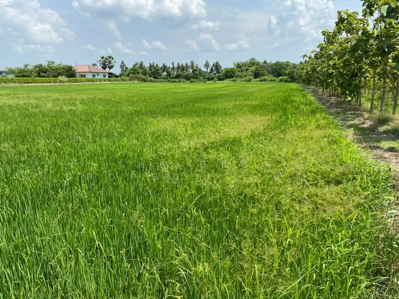 ที่ดินกำแพงแสน นครปฐม, Nakhon Pathom, Kra Tip, Kamphaeng Saen, Nakhon Pathom, , 5,120 sqm, Land For Sale, by The Best Property  แดง, 500336195 - DDproperty.com