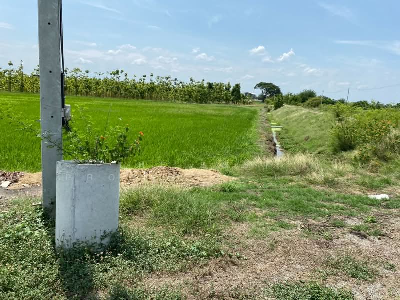 ที่ดินกำแพงแสน นครปฐม, Nakhon Pathom, Kra Tip, Kamphaeng Saen, Nakhon Pathom, , 5,120 sqm, Land For Sale, by The Best Property  แดง, 500336195 - DDproperty.com