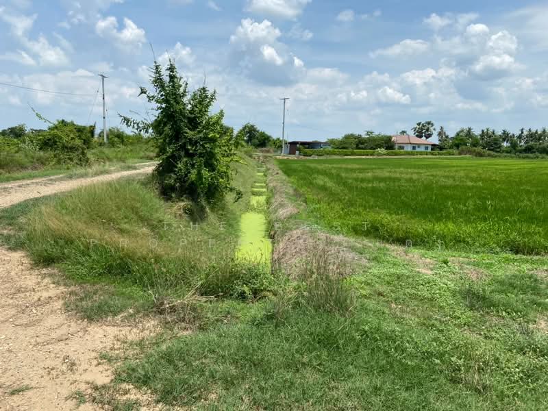 ที่ดินกำแพงแสน นครปฐม, Nakhon Pathom, Kra Tip, Kamphaeng Saen, Nakhon Pathom, , 5,120 sqm, Land For Sale, by The Best Property  แดง, 500336195 - DDproperty.com