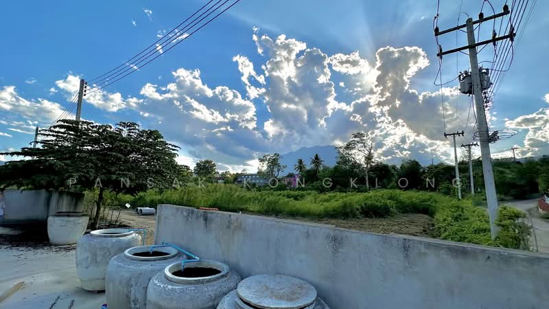 Chiangdaw, Chiang Mai, 3059, Chiang Dao, Chiang Mai, , 460 sqm, Land For Sale, by Pansak Kongklong, 500336303 - DDproperty.com