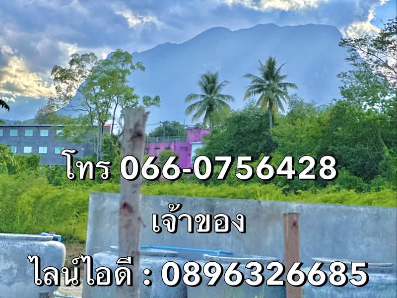 Chiangdaw, Chiang Mai, 3059, Chiang Dao, Chiang Mai, , 460 sqm, Land For Sale, by Pansak Kongklong, 500336303 - DDproperty.com