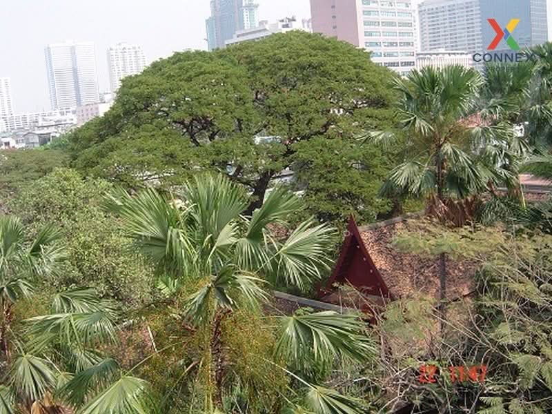 Condo One Siam condominium, Bangkok, Rama 1, Wang Mai, Pathum Wan, Bangkok, 1 Bedroom, 50 sqm, Condo For Rent, by Connex Property, 500336310 - DDproperty.com