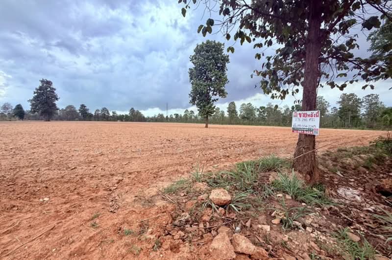 ถนนโยธาธิการ ขก. 2114, Khon Kaen, Sawathi, Muang Khon Kaen, Khon Kaen, , 20,040 sqm, Land For Sale, by ชนะชาติ นนท์ตา, 500336396 - DDproperty.com