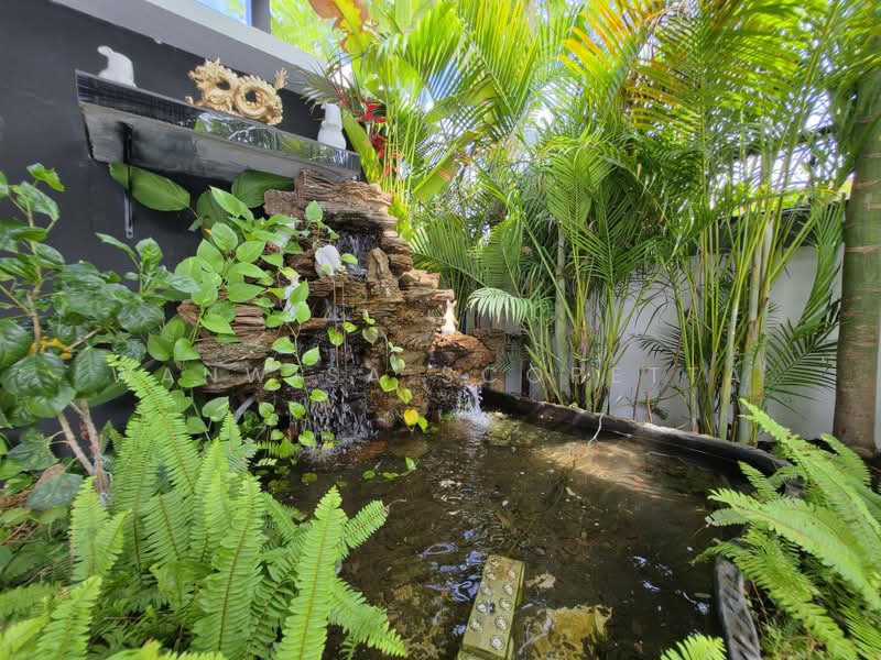 Huahin 70, Prachuap Khiri Khan, ประจวบคีรีขันธ์, หินเหล็กไฟ, หัวหิน, ประจวบคีรีขันธ์, 250 ตร.ม., บ้านเดี่ยว ให้เช่า, โดย Wanwisa Scopetta, 500336477 - DDproperty.com