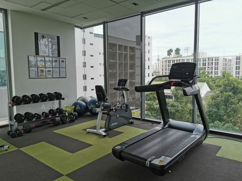 IDEO MOBI Sukhumvit 81, Bangkok, 2097 Sukhumvit Road, Bang Chak, Phra Khanong, Bangkok, 2 Bedrooms, 45 sqm, Condo For Rent, by Vichai Annavakulthorn, 500336545 - DDproperty.com
