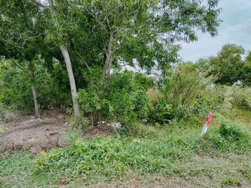 ที่ดิน ซอยบงกช 32 คลองสอง, ปทุมธานี, คลองสอง, คลองหลวง, ปทุมธานี, 352 ตร.ม., ที่ดิน ขาย, โดย Pongpan Matkhao, 500336571 - DDproperty.com