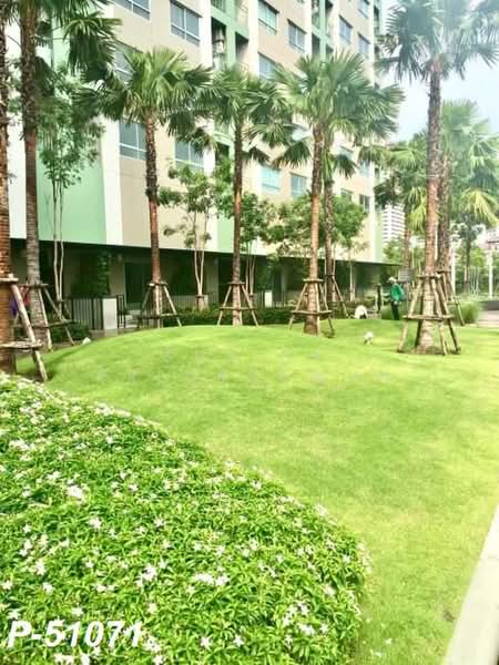 Lumpini Place Srinakarin-Huamak Station : ลุมพินี เพลส ศรีนครินทร์-หัวหมาก สเตชั่น, กรุงเทพ, ถนนศรีนครินทร์, สวนหลวง, สวนหลวง, กรุงเทพ, 33 ตร.ม., คอนโด ให้เช่า, โดย Susira Preuksawun, 500336586 - DDproperty.com