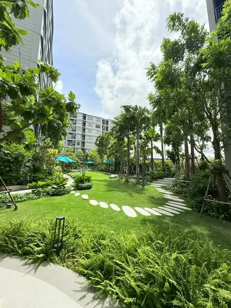 DCondo Reef, Phuket, 78 Soi Dara, Kathu, Phuket, 1 Bedroom, 34 sqm, Condo For Rent, by Min Prime, 500336596 - DDproperty.com