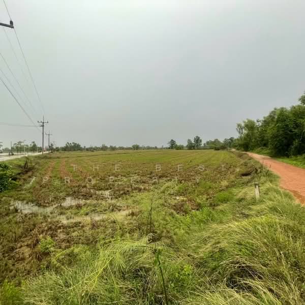 ที่ดินขาณุวรลักษบุรี กำแพงเพชร, กำแพงเพชร, เกาะตาล, ขาณุวรลักษบุรี, กำแพงเพชร, 19,904 ตร.ม., ที่ดิน ขาย, โดย The Best Property แป้ง, 500336629 - DDproperty.com
