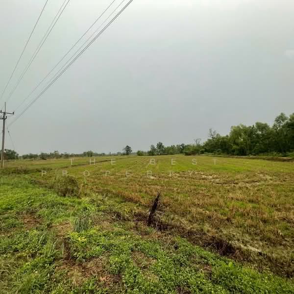 ที่ดินขาณุวรลักษบุรี กำแพงเพชร, กำแพงเพชร, เกาะตาล, ขาณุวรลักษบุรี, กำแพงเพชร, 19,904 ตร.ม., ที่ดิน ขาย, โดย The Best Property แป้ง, 500336629 - DDproperty.com