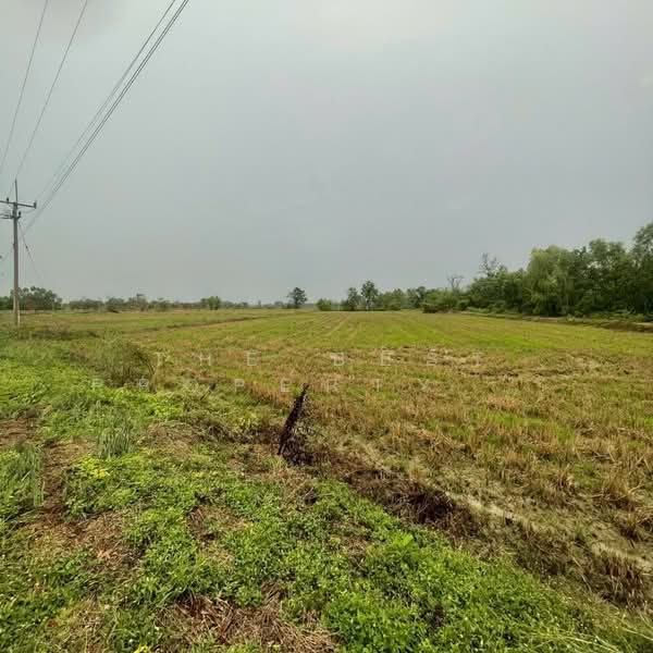 ที่ดินขาณุวรลักษบุรี กำแพงเพชร, Kamphaeng Phet, Ko Tan, Khanu Woralaksaburi, Kamphaeng Phet, , 19,904 sqm, Land For Sale, by The Best Property แป้ง, 500336629 - DDproperty.com