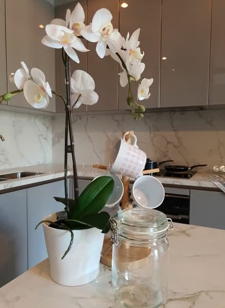 The Esse at Singha Complex, Bangkok, 1788 New Petchaburi Rd, Khlongtoei Nua, Watthana, Bangkok, 2 Bedrooms, 77 sqm, Condo For Rent, by Vichai Annavakulthorn, 500336640 - DDproperty.com