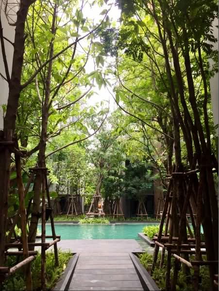 Vtara Sukhumvit 36 : วีธารา สุขุมวิท 36, กรุงเทพ, 118 ซอยแสนสบาย, พระโขนง, คลองเตย, กรุงเทพ, 46 ตร.ม., คอนโด ให้เช่า, โดย Vichai Annavakulthorn, 500336672 - DDproperty.com