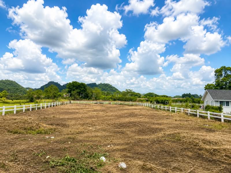 ที่ดินปากช่อง นครราชสีมา, Nakhon Ratchasima, Khlong Muang, Pak Chong, Nakhon Ratchasima, , 1,600 sqm, Land For Sale, by The Best Property กฤต, 500336677 - DDproperty.com