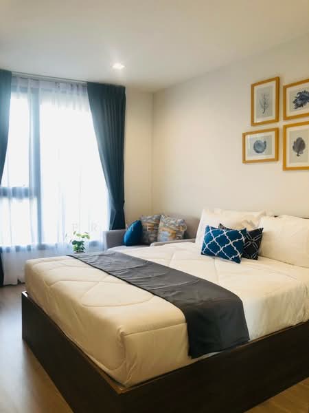 The Base Central, Phuket, Chao Fah Tawan Tok Rd, Wichit, Muang Phuket, Phuket, Studio, 27 sqm, Condo For Rent, by Prime Dew, 500336793 - DDproperty.com