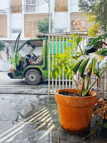 โมโนทาว์น 2 สุเทพ, เชียงใหม่, สุเทพ, เมืองเชียงใหม่, เชียงใหม่, 150 ตร.ม., ทาวน์เฮ้าส์ ให้เช่า, โดย Shori Asset Group Co., Ltd., 500336820 - DDproperty.com