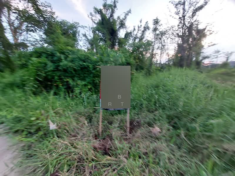 ที่ดินโพนพิสัย หนองคาย, Nong Khai, Chum Phon, Phon Phisai, Nong Khai, , 400 sqm, Land For Sale, by The Best Property เป้า, 500336856 - DDproperty.com