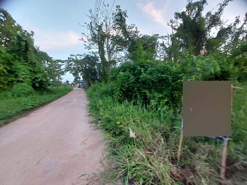 ที่ดินโพนพิสัย หนองคาย, Nong Khai, Chum Phon, Phon Phisai, Nong Khai, , 400 sqm, Land For Sale, by The Best Property เป้า, 500336856 - DDproperty.com