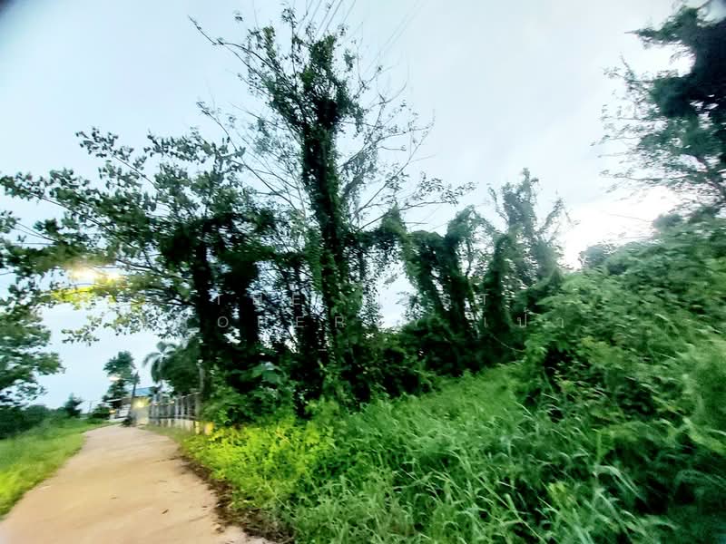 ที่ดินโพนพิสัย หนองคาย, หนองคาย, จุมพล, โพนพิสัย, หนองคาย, 400 ตร.ม., ที่ดิน ขาย, โดย The Best Property เป้า, 500336856 - DDproperty.com