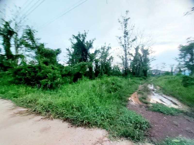 ที่ดินโพนพิสัย หนองคาย, หนองคาย, จุมพล, โพนพิสัย, หนองคาย, 400 ตร.ม., ที่ดิน ขาย, โดย The Best Property เป้า, 500336856 - DDproperty.com