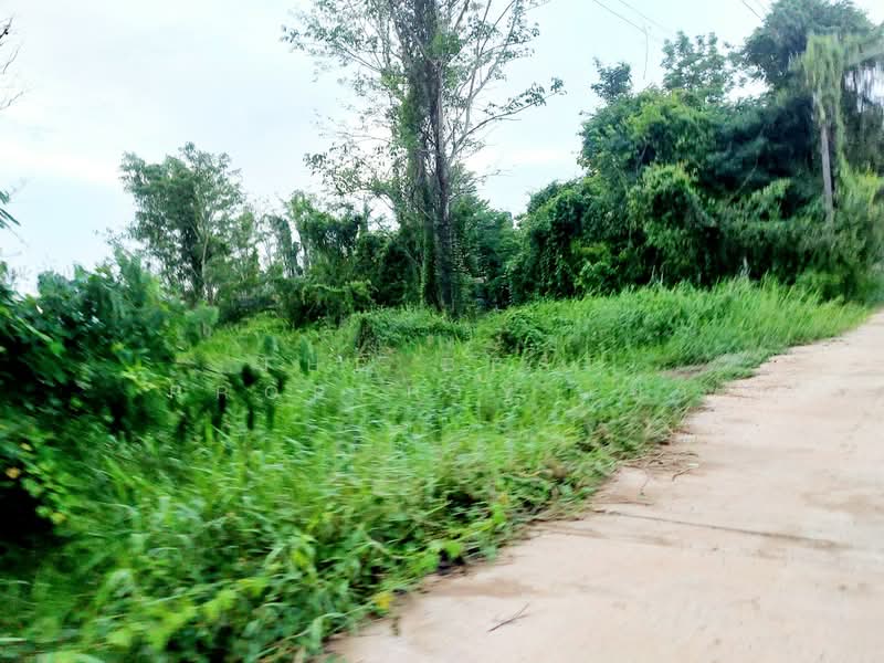 ที่ดินโพนพิสัย หนองคาย, Nong Khai, Chum Phon, Phon Phisai, Nong Khai, , 400 sqm, Land For Sale, by The Best Property เป้า, 500336856 - DDproperty.com