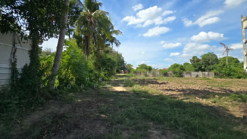 ที่ดินบ้านโป่ง ราชบุรี, Ratchaburi, Lat Bua Khao, Ban Pong, Ratchaburi, , 2,944 sqm, Land For Sale, by The Best Property เอิร์น, 500336896 - DDproperty.com