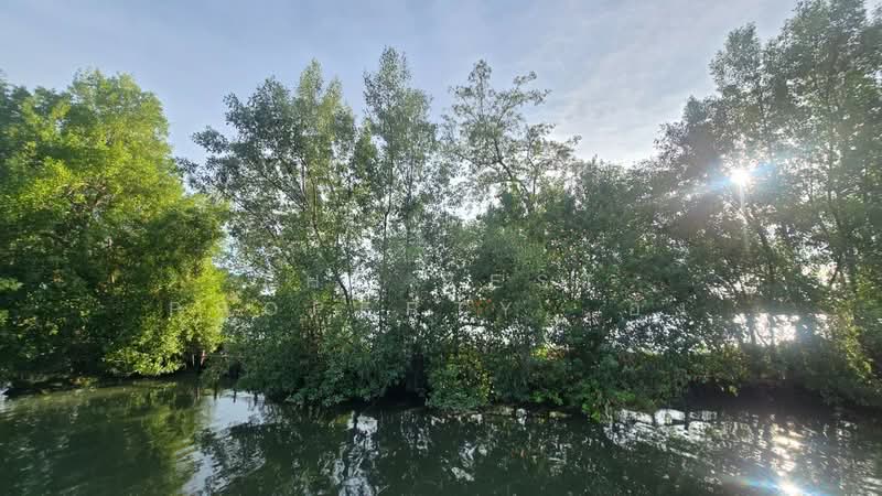 Kunalai Bangkhuntien, Bangkok, Tha Kham, Bang Khun Thian, Bangkok, 3 Bedrooms, 150 sqm, Single Detached House For Sale, by The Best Property อัง, 500336997 - DDproperty.com