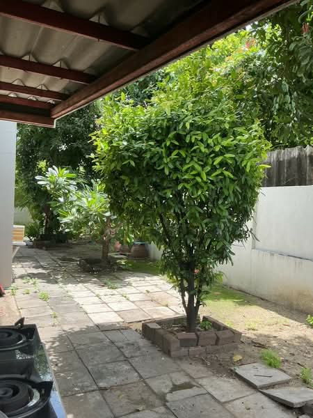 ขายบ้านเดี่ยวหลังใหญ่ 75.2 ตร.ว. พื้นที่รอบบ้าน ทำเลทองใกล้ทางด่วน, นนทบุรี, บางกรวย, นนทบุรี, 130 ตร.ม., บ้านเดี่ยว ขาย, โดย สรัญญา รักมาก, 500337058 - DDproperty.com