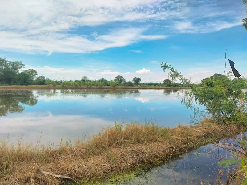 ที่ดิน 1 ไร่ ใกล้ M81 ตำบล คลองโยง อำเภอพุทธมณฑล นครปฐม, Nakhon Pathom, Khlong Yong, Phuttha Mon Thon, Nakhon Pathom, , 1,600 sqm, Land For Sale, by HOMEPLUS REALTY - คุณนิล, 500337178 - DDproperty.com