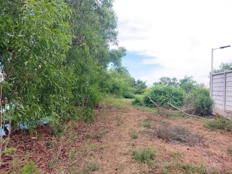 ที่ดิน 1 ไร่ ใกล้ M81 ตำบล คลองโยง อำเภอพุทธมณฑล นครปฐม, Nakhon Pathom, Khlong Yong, Phuttha Mon Thon, Nakhon Pathom, , 1,600 sqm, Land For Sale, by HOMEPLUS REALTY - คุณนิล, 500337178 - DDproperty.com