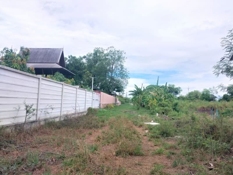 ที่ดิน 1 ไร่ ใกล้ M81 ตำบล คลองโยง อำเภอพุทธมณฑล นครปฐม, นครปฐม, คลองโยง, พุทธมณฑล, นครปฐม, 1,600 ตร.ม., ที่ดิน ขาย, โดย HOMEPLUS REALTY - คุณนิล, 500337178 - DDproperty.com